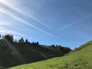 Maisons de vacances Farmhouse with mountain view : photos des chambres