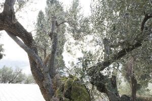 La Dolce Casetta