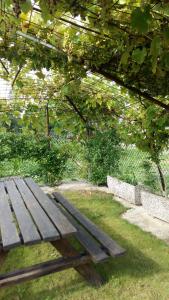 Casa Vacanze Riviera del Brenta