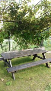 Casa Vacanze Riviera del Brenta