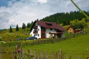 Casa din Plai - Bucovina - Yalovichiuara de Zhos
