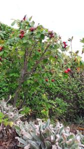 Villas Aux Premieres Loges : photos des chambres