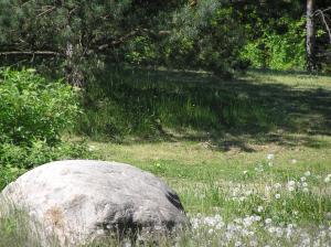 Wymój Park