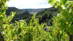 Talblick I