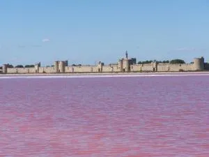 Aigues-Mortes villa prés des remparts - إج مورت