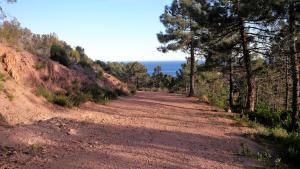 Appartements Cote d'Azur - Theoule - Miramar : photos des chambres