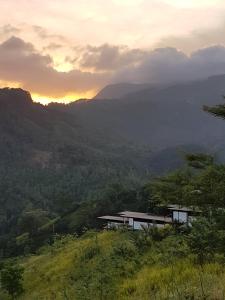 Werapitiya, Kandy, Sri Lanka.