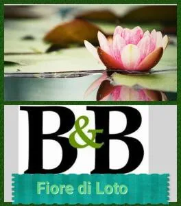 Fiore di Loto - Durazzano