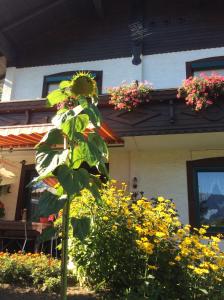 Ferienwohnung Gerti Kalt