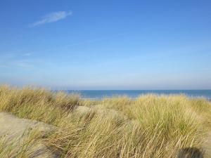 Evancy La Brise Des Dunes photo 24