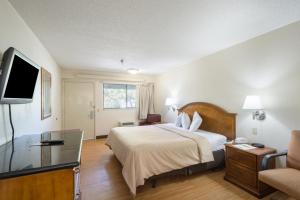 King Room - Accessible/Non-Smoking room in Rodeway Inn Tampa near Busch Gardens-USF