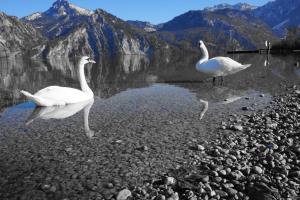 Appartement Traunseeferien