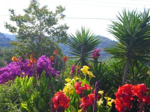 Lemon Tree Cottage Messinia Greece