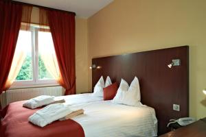 Hotels Hotel Restaurant des Vosges : Chambre Double ou Lits Jumeaux