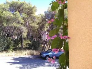 Apartment Petrus - Sveti Petar