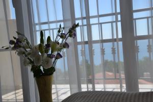 Appartement Apartment on the Cliff Obzor Obsor Bulgarien