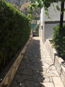 Studio with Terrace and Garden View room in Bjelica Apartments Kotor