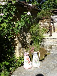 B&B / Chambres d'hotes Maison Chaumont : photos des chambres