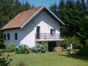 Planinska kuća Vladanka - planina Goč - banjska strana - preko puta ski staze