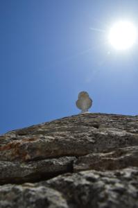 Trulli Casa Alberobello