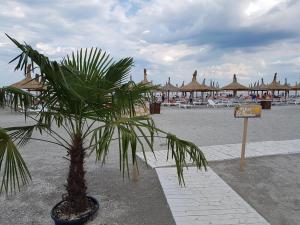 Bunga Bunga Resort Mamaia Nord