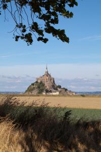 Hotels Chateau de La Ballue - Les Collectionneurs : photos des chambres