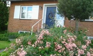 Porshøjvej - Hjarbæk