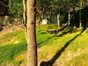 The Green Roof House