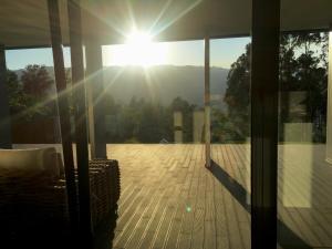 The Green Roof House