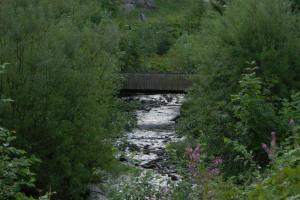 Au Bois de Lune photo 12