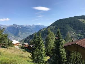 Chalet Clochette 4 Valles-Verbier