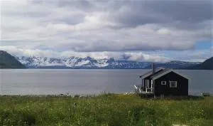 Arctic FjordCamp - Spildra