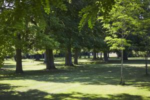 Hotels Campanile Hotel Compiegne : photos des chambres