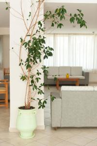 Ageri Hotel Tinos Greece
