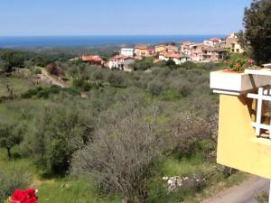 Stella Del Sud img89