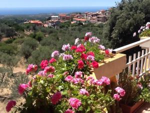 Stella Del Sud img92