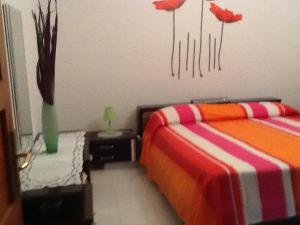 Stella Del Sud img82