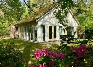 Vakantiewoning Tjiftjaf in "Het Fonteinbos" - Nijemirdum