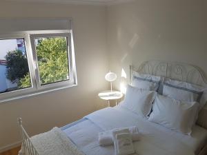 Casa da Arrochela Aveiro