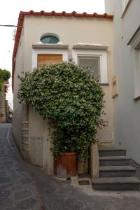 Casa Piccola by Capri 5 Senses