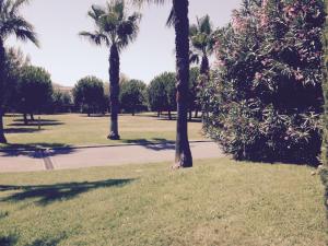 Appartements Cannes Terrace Beach Front & Sea view : photos des chambres