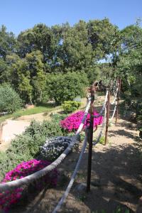 Maisons de vacances Residence A Licetta : photos des chambres