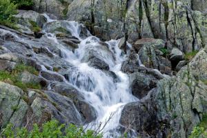 Hotels Capo D'orto - Porto - Corse : photos des chambres