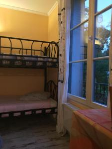 Le Chant Des Oiseaux