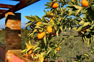 Villa Kardami -country house Corfu Greece