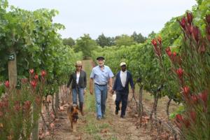 Belfield Wines and Farm Cottages
