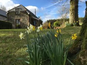 Meadow Sweet Cottage - Sampford Courtenay