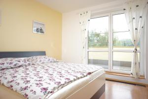 3 gwiazdkowy apartament Apartmá Kateřina Velké Losiny Velké Losiny Czechy