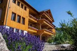 Les Gîtes d'Adelspach Gîtes & Spa en Alsace - 坦嫩基什