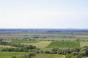 Vinařský penzion Přední Hora